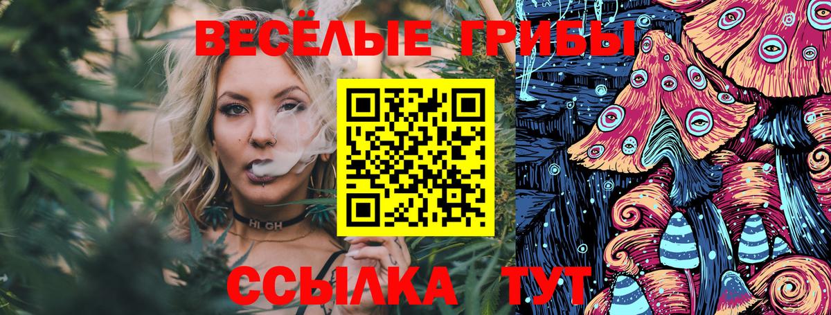 Галлюциногенные грибы Psilocybe  Галлюциногенные грибы Magic Shrooms  Вход с VPN  Кольчугино 